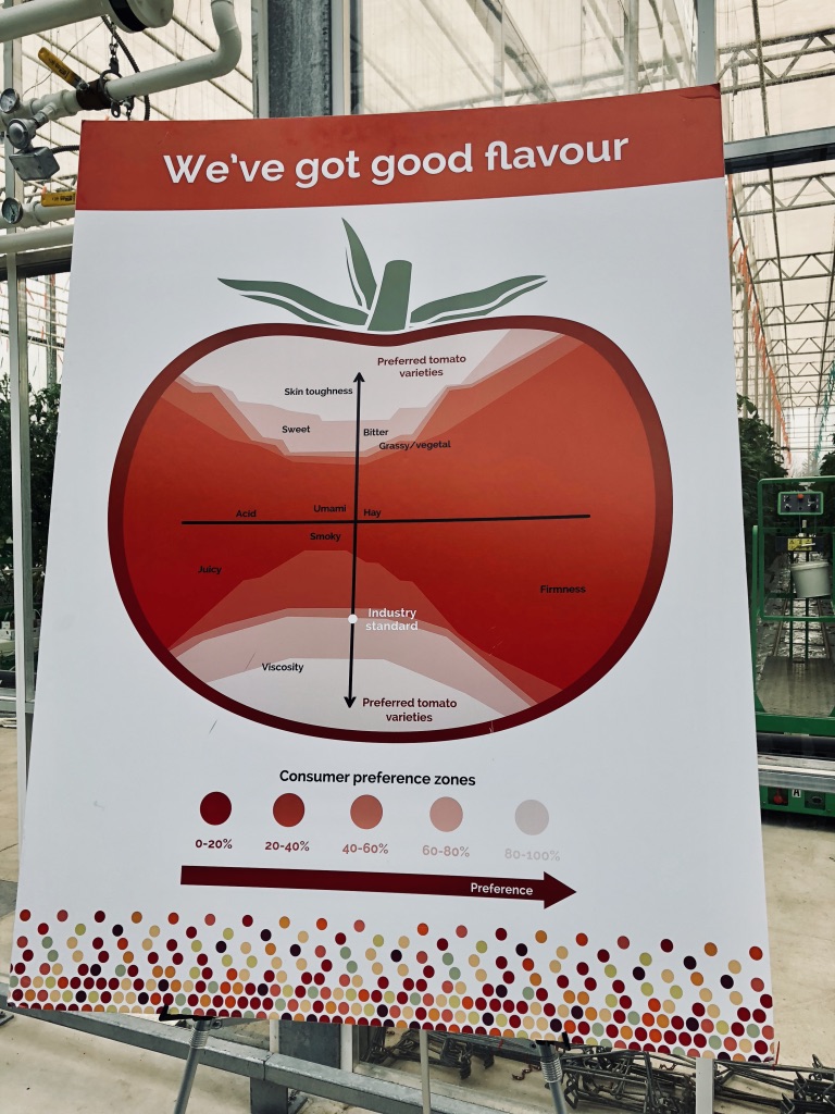 Ontario tomato consumer preferences
