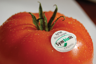 p12_2306-Symbiosis-tomatoe