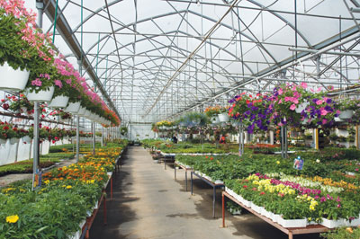 p24_4675-GreenhousesMARC-LAJOIE