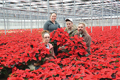 Floral Group with  ‘Christmas Eve.’