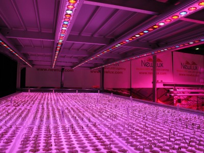 6444_newlux_one_of_several_companies_with_led_displays_at_cultivate14