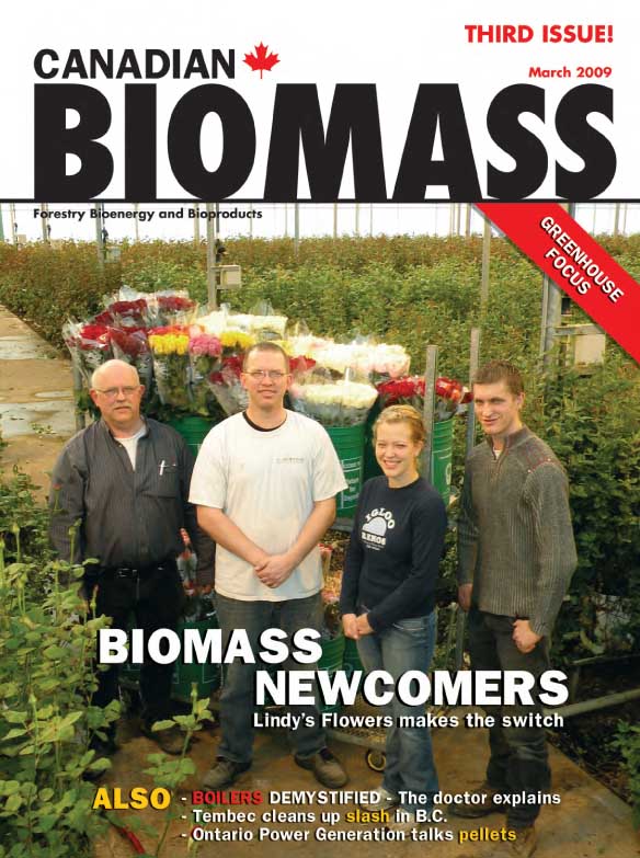 biomass-1