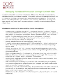 summer-tips-pdf