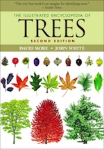 more_trees_2ed_comp_s13_web