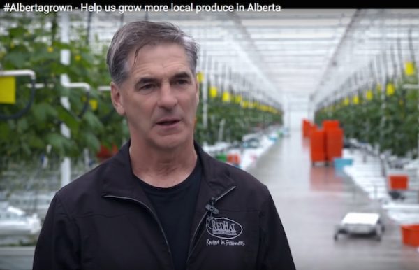 alberta-growers-to-get-carbon-tax-rebate-greenhouse-canada