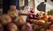 Produce sales up dramatically in 2020: OPMA report - Greenhouse Canada