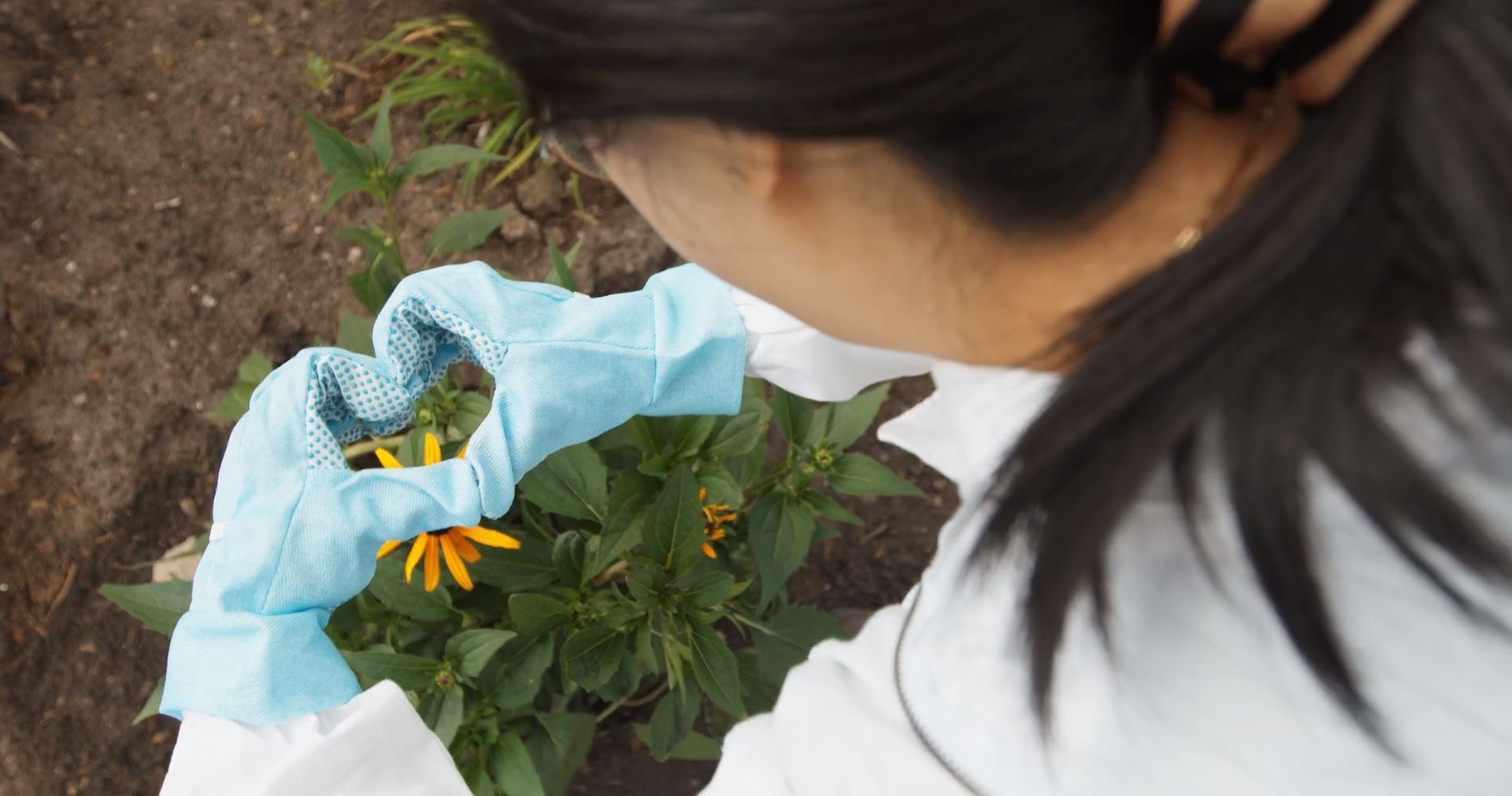 Walmart Canada Suppliers To Implement Pollinator Friendly Practices By 25 Greenhouse Canada Walmart Canada Suppliers To Implement Pollinator Friendly Practices By 25 Greenhouse Canada