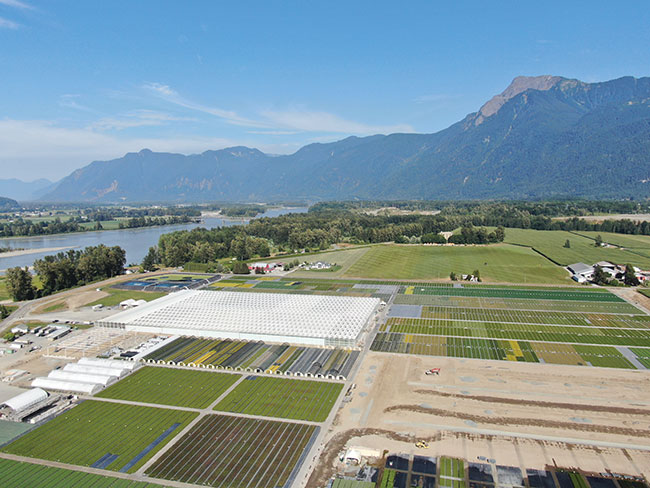 Laying the groundwork for a water-efficient future - Greenhouse Canada