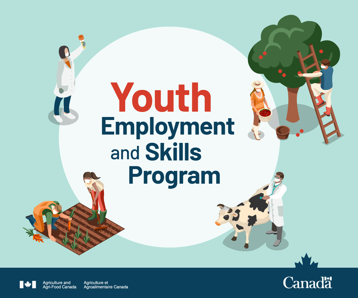 Troubled Youth Programs Jobs