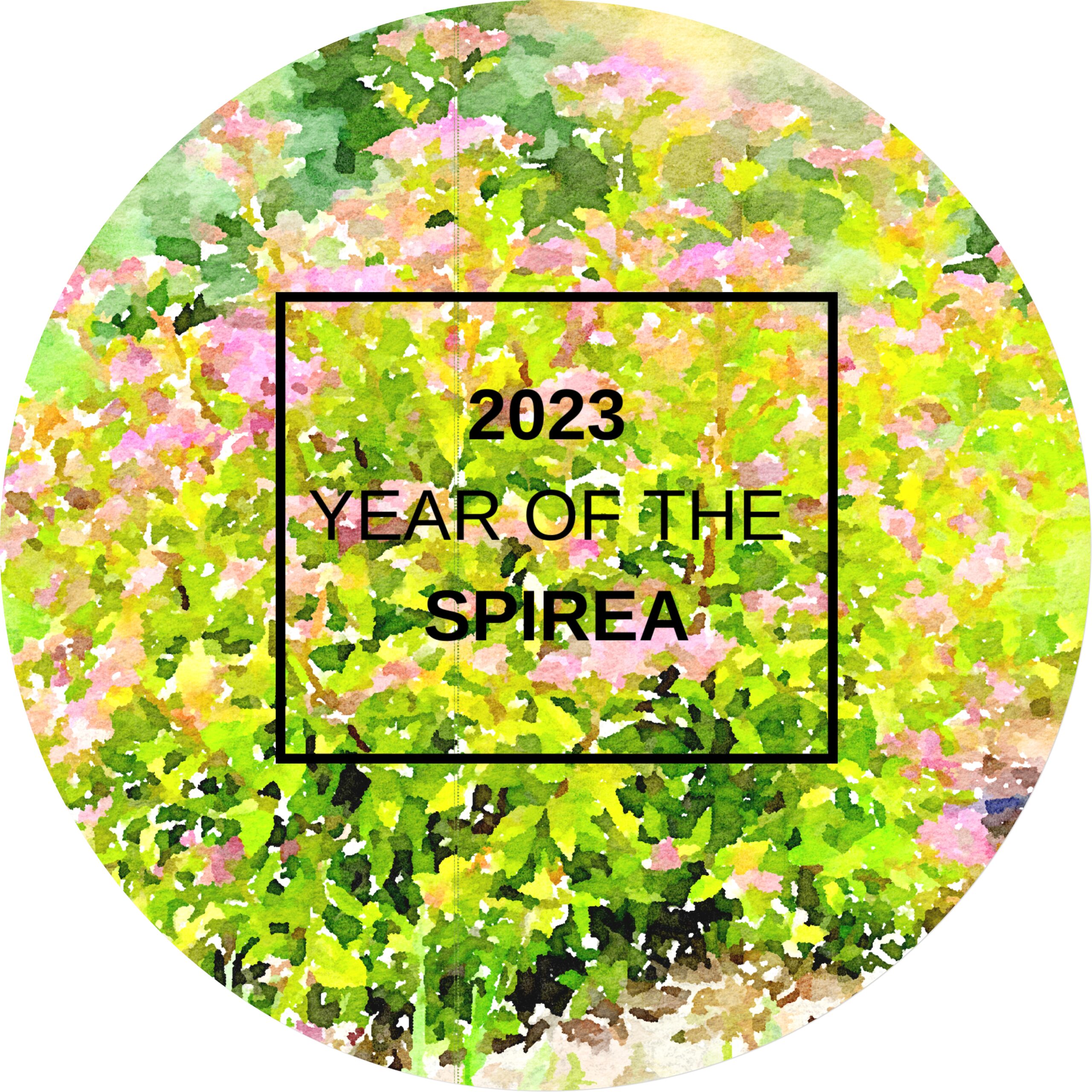 2023 Year of the Spirea (Circle via irfanview downsized)