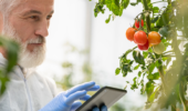 worker in greenhouse