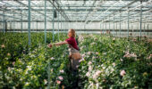 Government promises new initiative $9M to support farm efficiency
