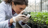 Greenhouse Canada cover photo contest has been relaunched for 2025.