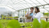 UofG launches new agriculture internship program