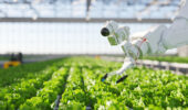 The University of Guelph  hosted the 2024 Arrell Food Summit