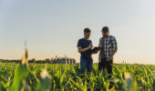 Up to $4 million in government funds has been assured for the Labour Force Management Strategies Initiative to strengthen Ontario’s agri-food workforce.