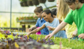Two greenhouse projects are among the 82 community groups set to receive $1.5 million through the FCC AgriSpirit Fund to support their capital projects.