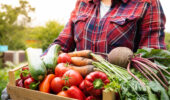 Bill C-280, the Financial Protection for Fresh Fruit and Vegetable Farmers Act, has successfully passed its third reading in the Canadian Senate, marking a significant step toward enhancing financial protection for produce sellers in Canada.