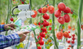 Inside view: Nature v. nurture