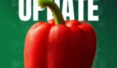 Fusarium